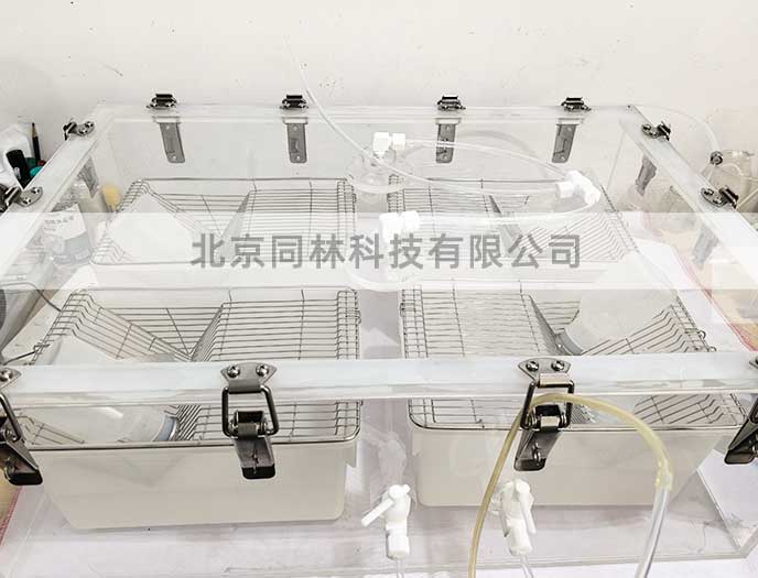 實驗室臭氧暴露染毒實驗?zāi)M方法指南